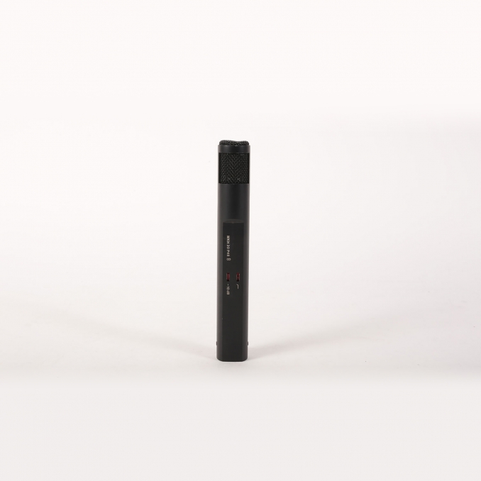 SENNHEISER MKH30 Micro bi